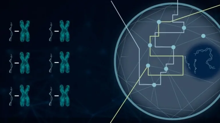 Genomic data (DNA, chromosomes) on left; globe-like network with interconnected nodes and data pathways on right.