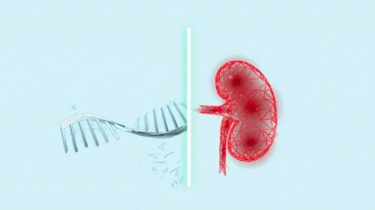 DNA double helix on left, translucent red kidney on right, divided by a glowing vertical line.