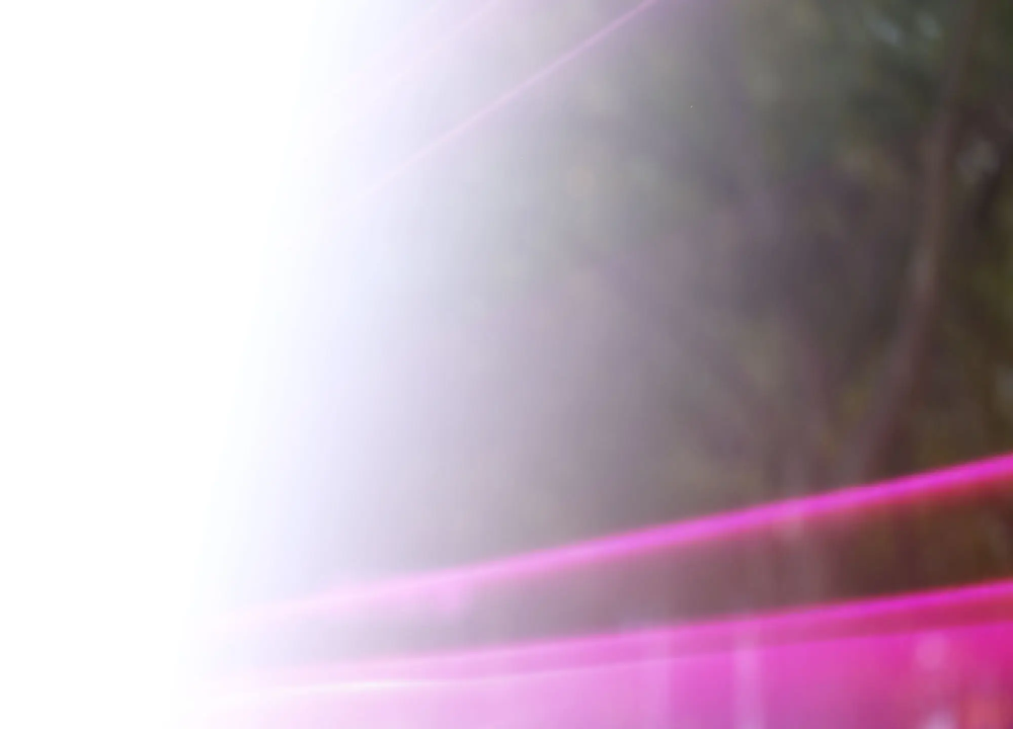 Bright white light on left, blending into blurry green foliage with a vibrant pink light streak at the bottom.