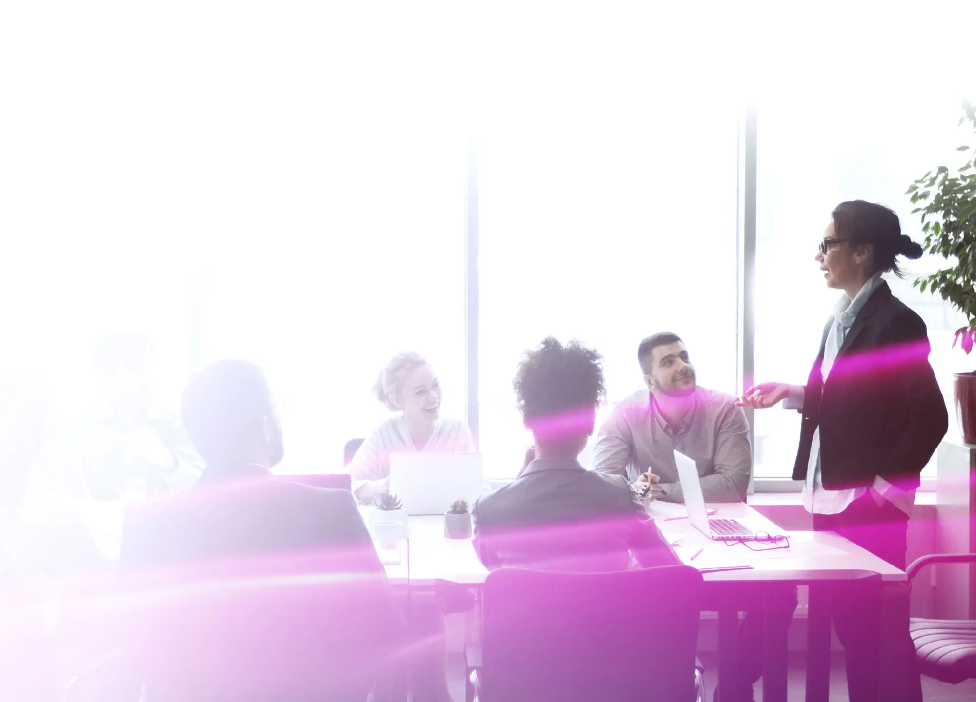 Professionals in a bright conference room meeting, with a pink lens flare across the bottom.